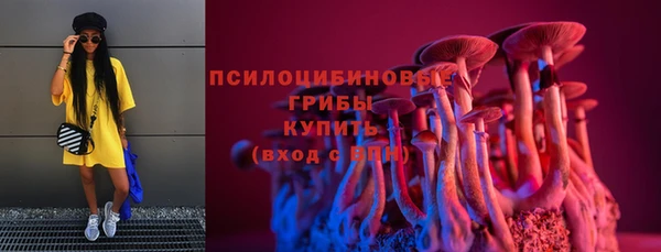 PSILOCYBIN Арсеньев