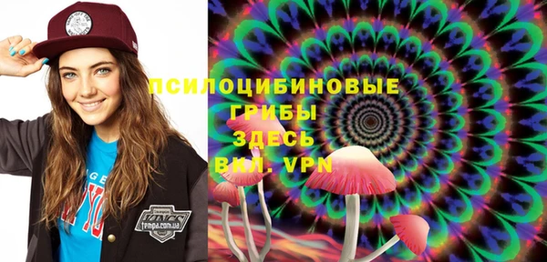 PSILOCYBIN Арсеньев