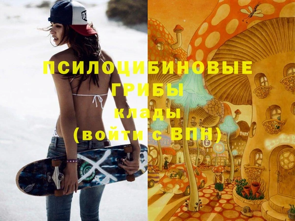 PSILOCYBIN Арсеньев