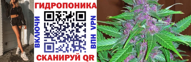 Каннабис план  закладка  mega ссылка  Муравленко 